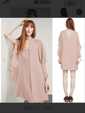 BCBGMaxAzria Blush Pink Mini Dress with Ruffled Overlay